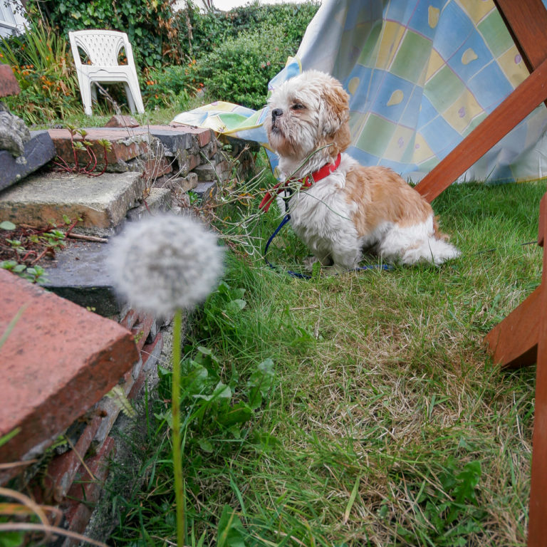 Patiently Waiting for Mom