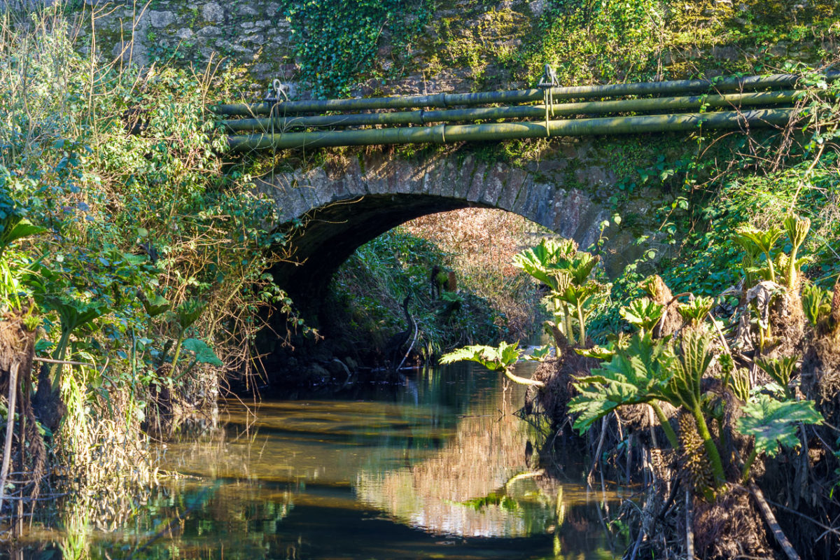 Under The Bridge