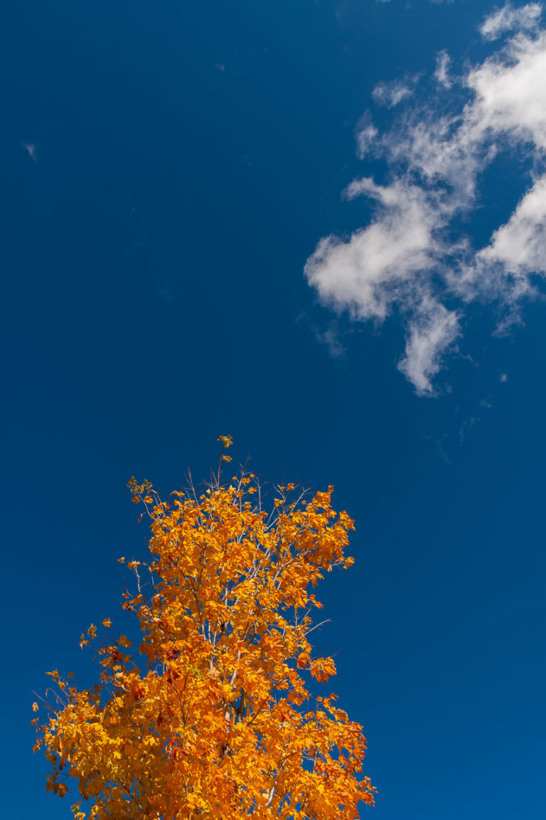 Blue Skies and Autumn Colours