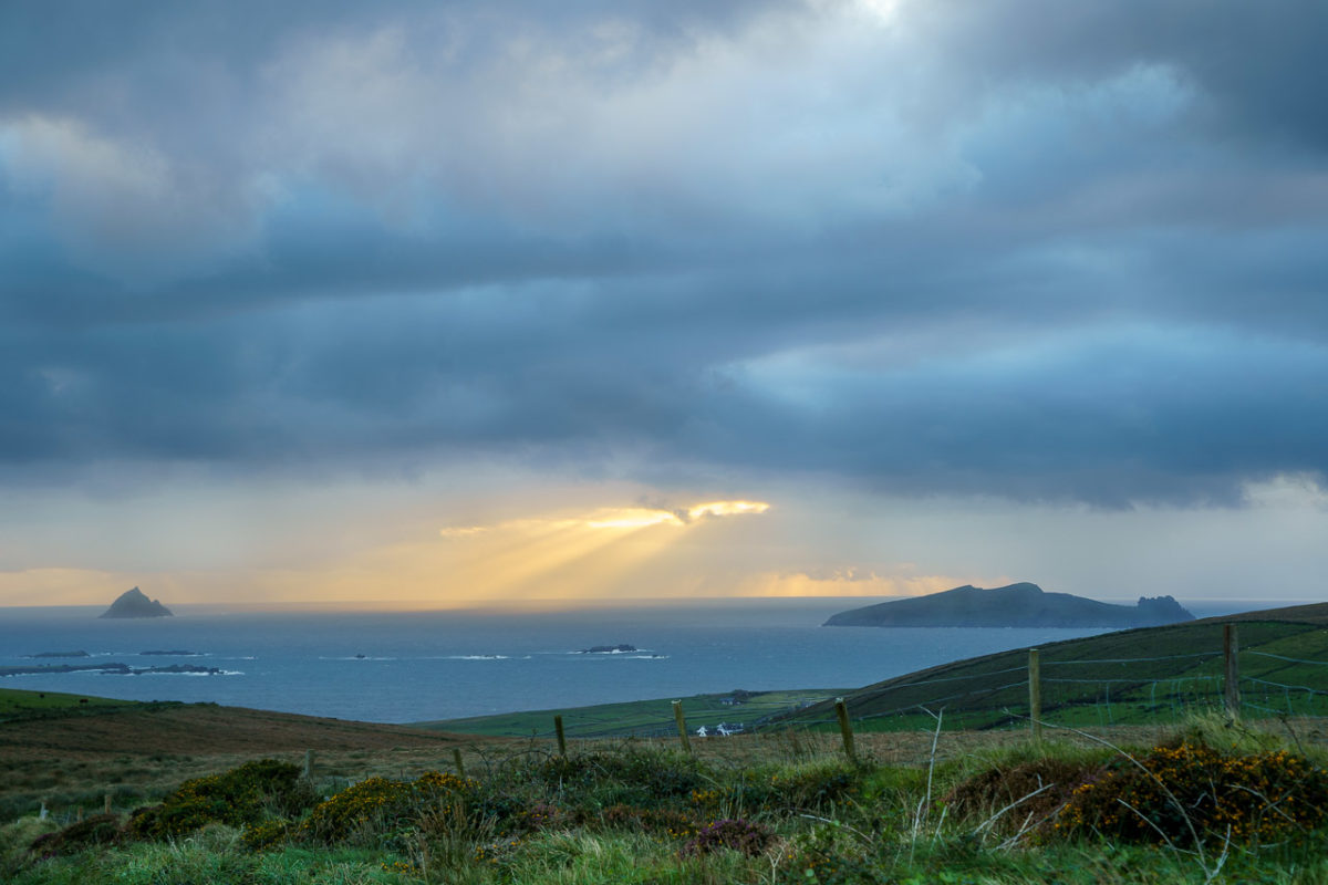 An Fear Marbh