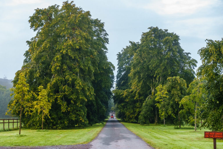 DO NOT DRIVE ON THE GRASS