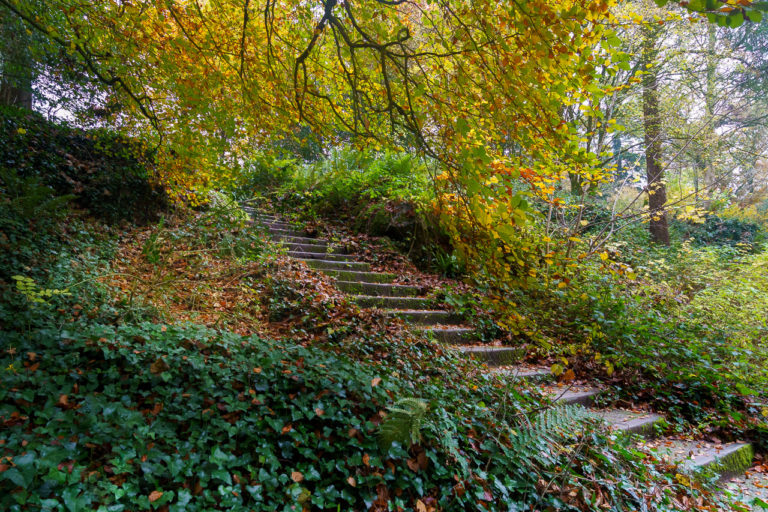 Steps to Nature