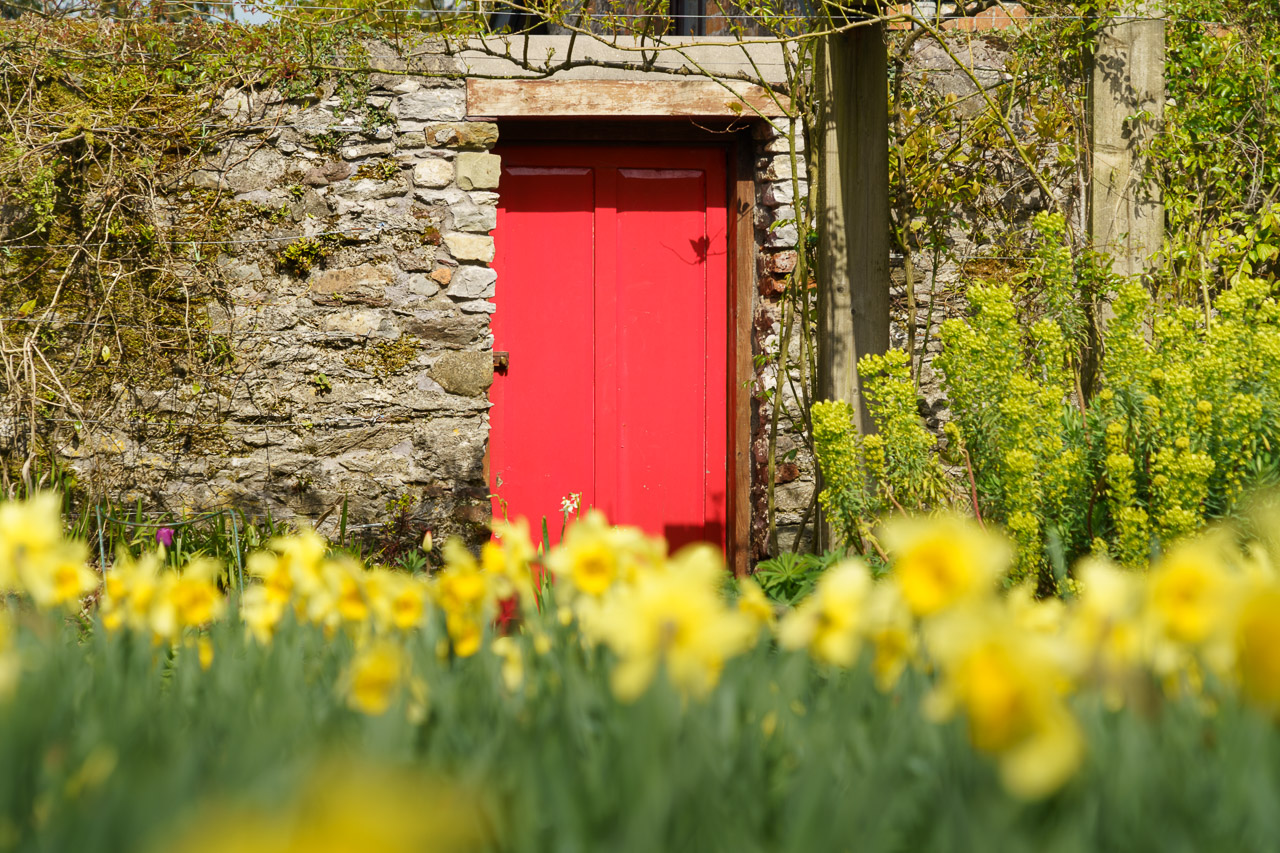 The Red Door