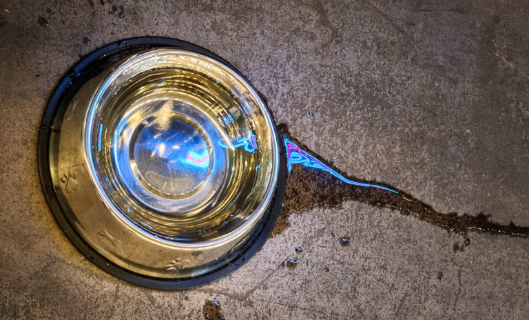 The Light is Leaking