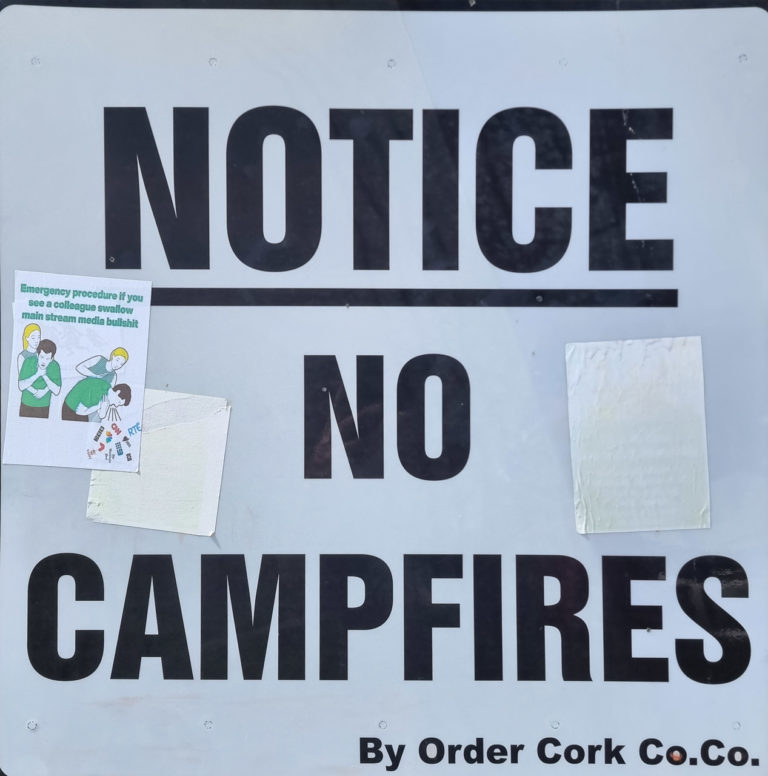 Summer at Garylucas Beach