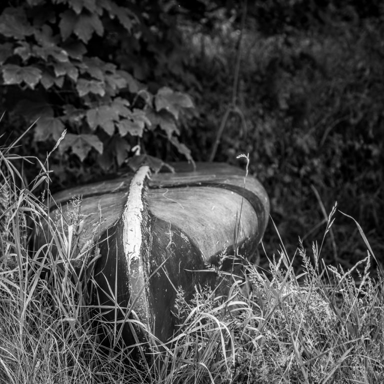 Boat in the grass