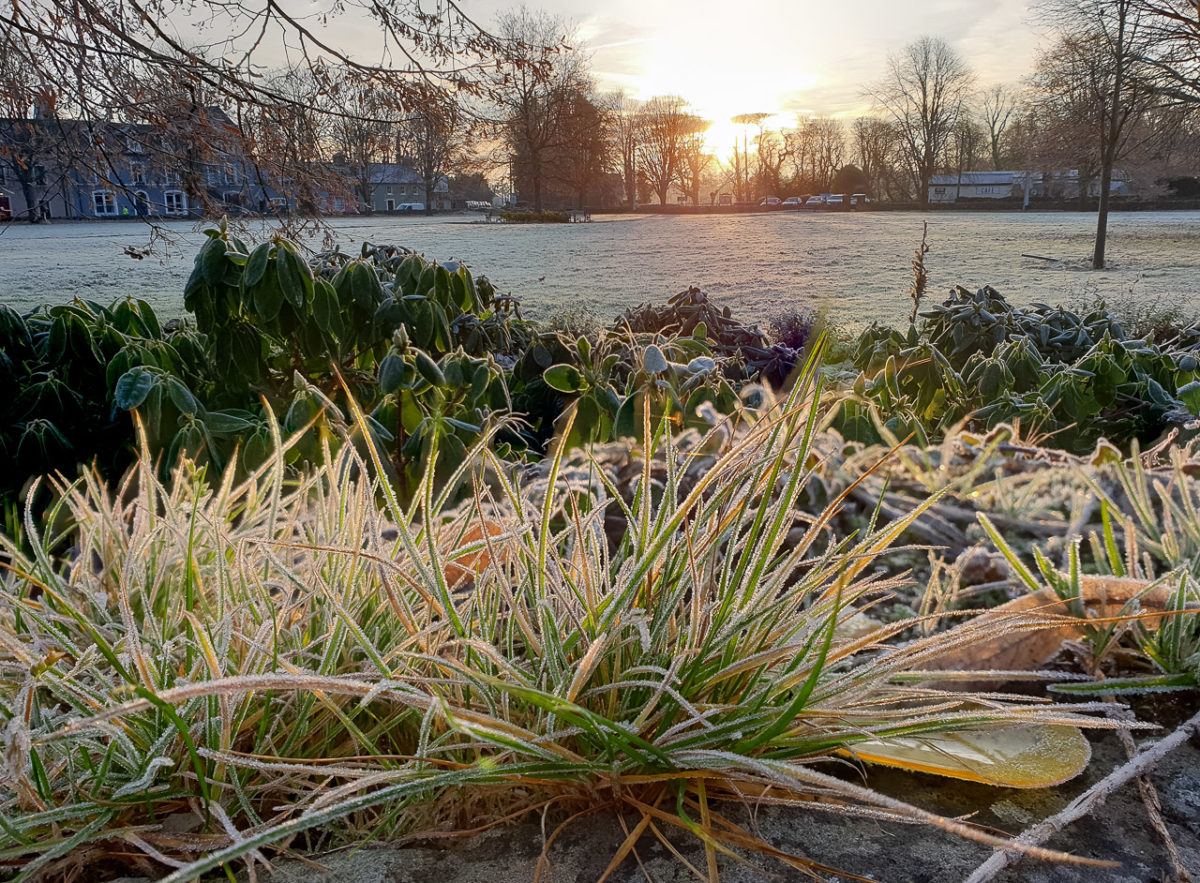 Frosty Morning in Blarney