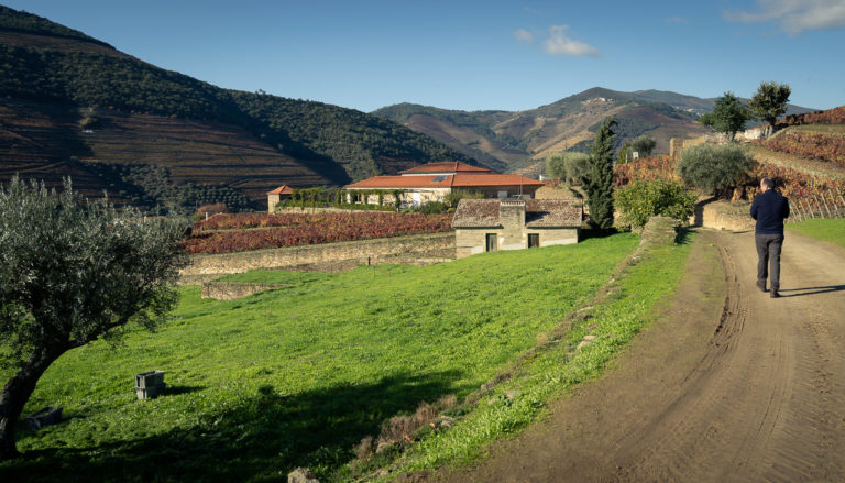 Walking by the vineyard