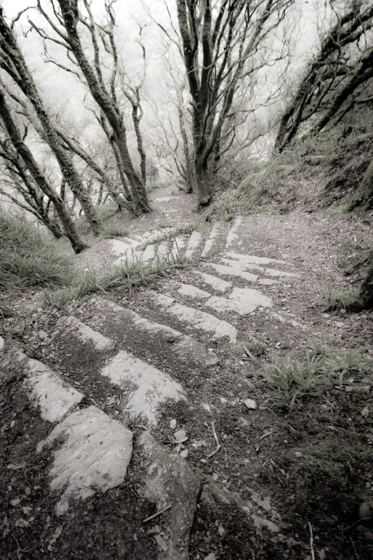 Down and down the hill