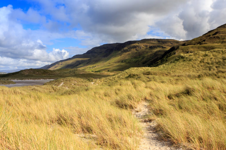 The Rolling Hills of Donegal