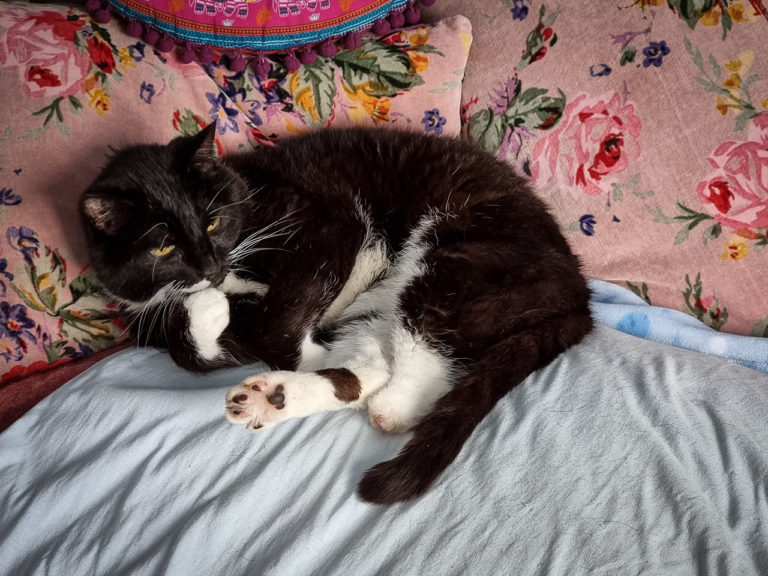 Hoppy posing for the camera