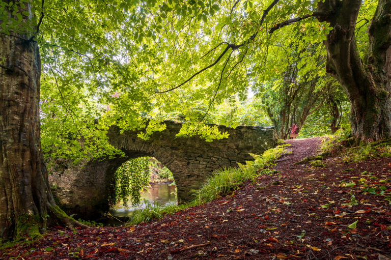 The Oldest Bridge in Ireland