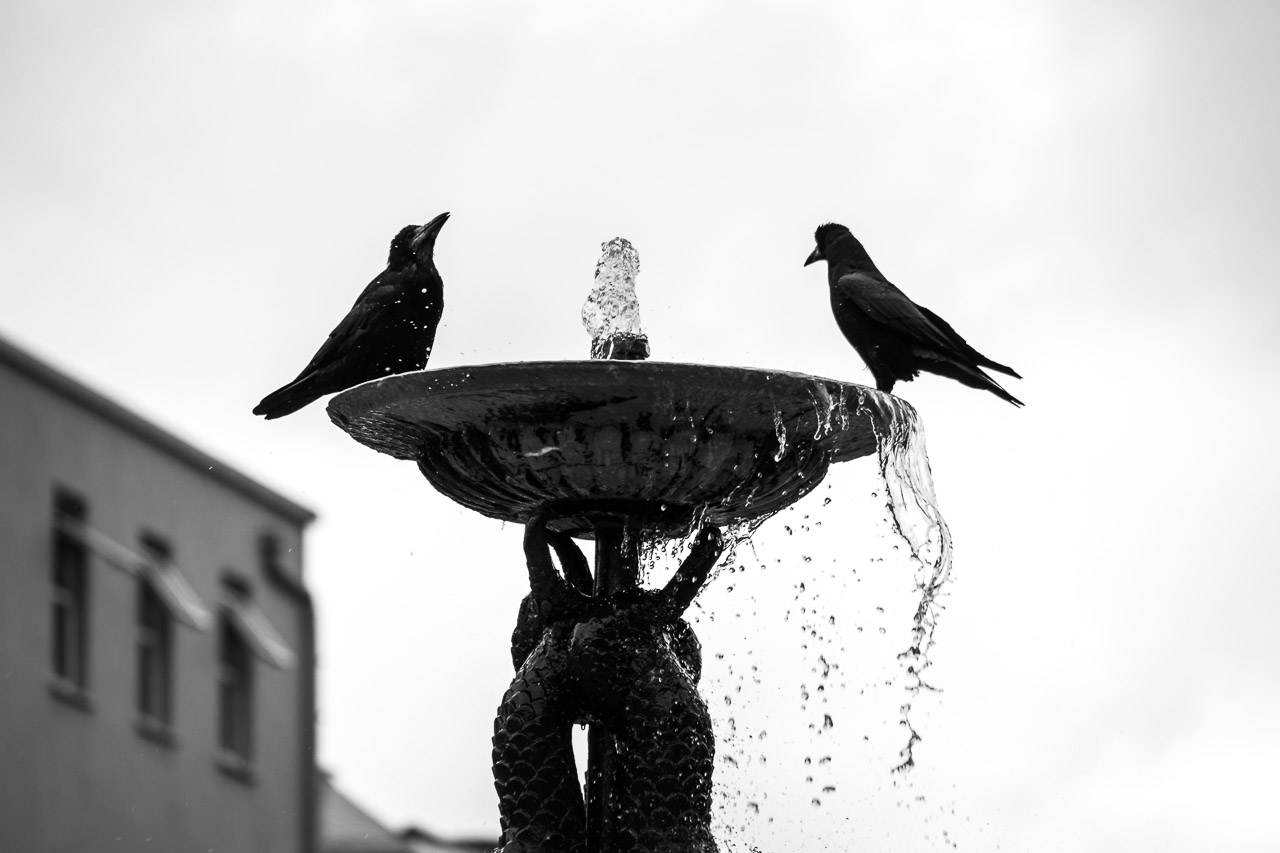 Having a drink