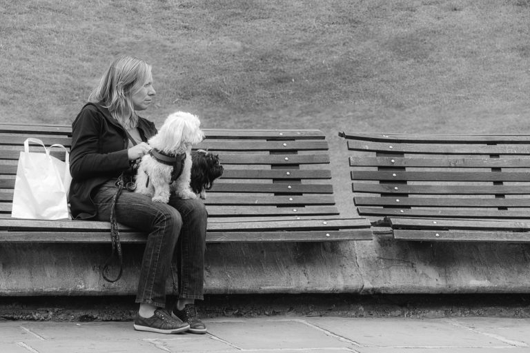 Hanging out with her doggy friends