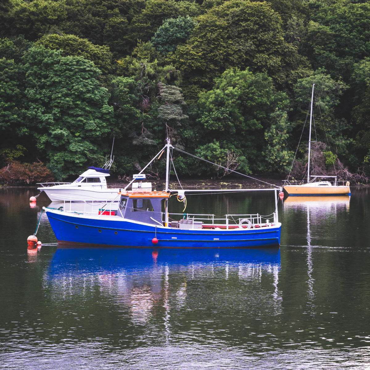 The Blue Boat