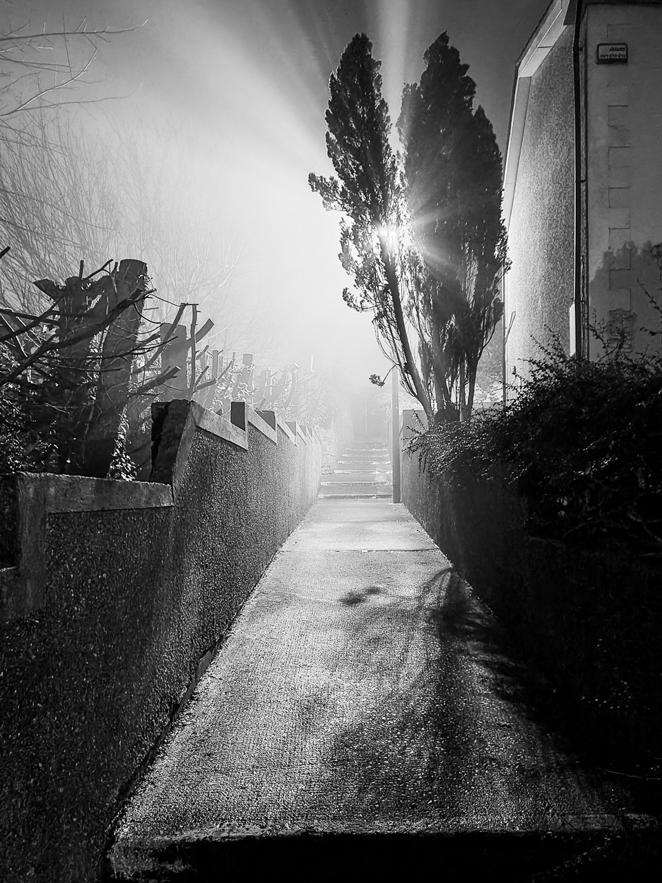 Fog in the Light