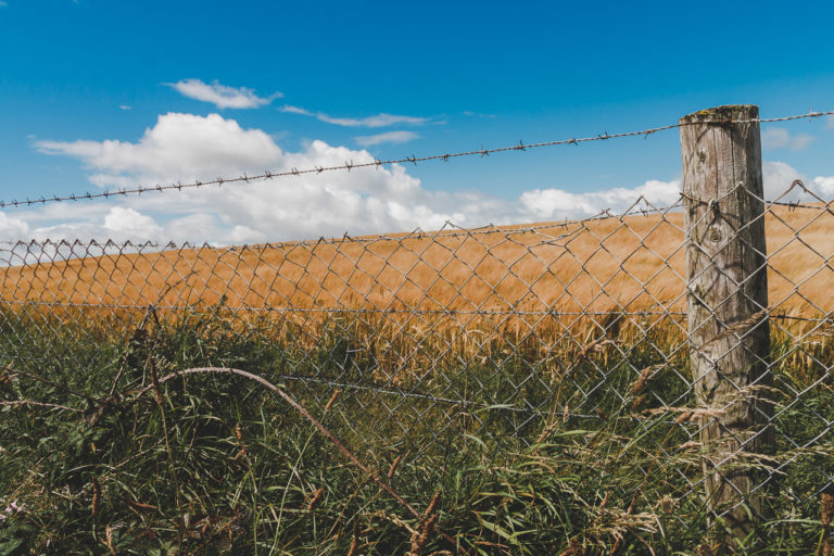 The Golden Fields of Ballycotton
