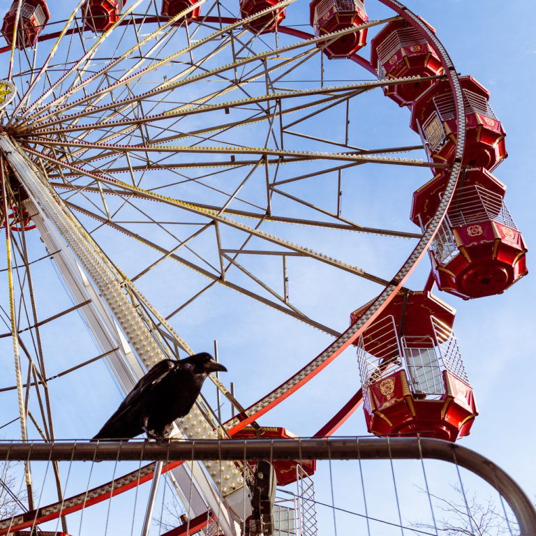 The Crow and the Wheel