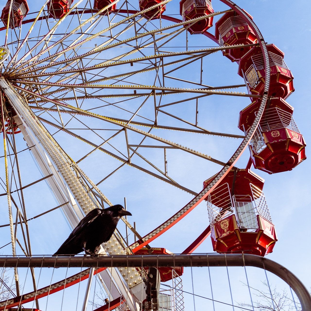 The Crow and the Wheel