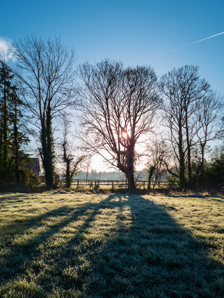 When the sun rises tomorrow...