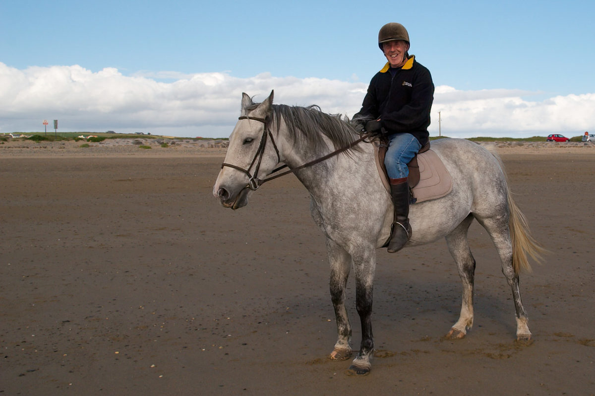 A Horse on the Beach