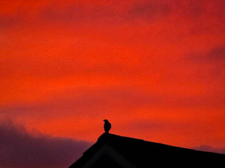 Some sunrise this morning