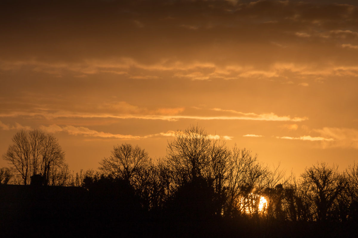 Sunrise in Blarney