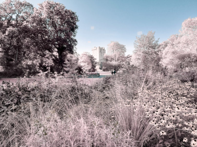 Blarney Castle in September