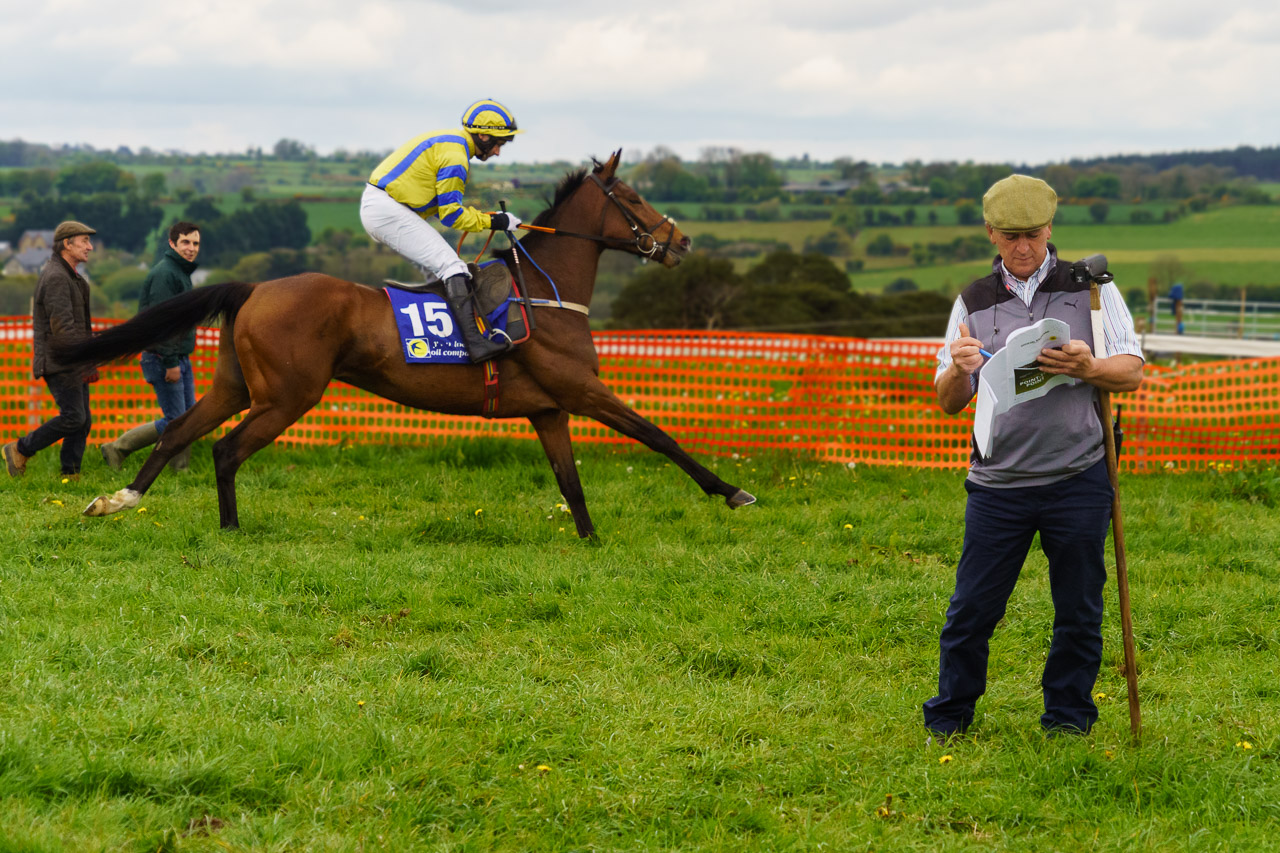 Check the horses at Dawstown Point To Point