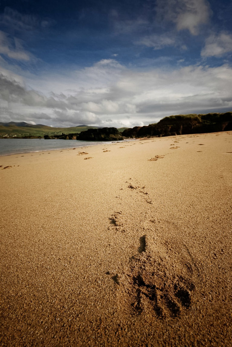 footprints in the sand