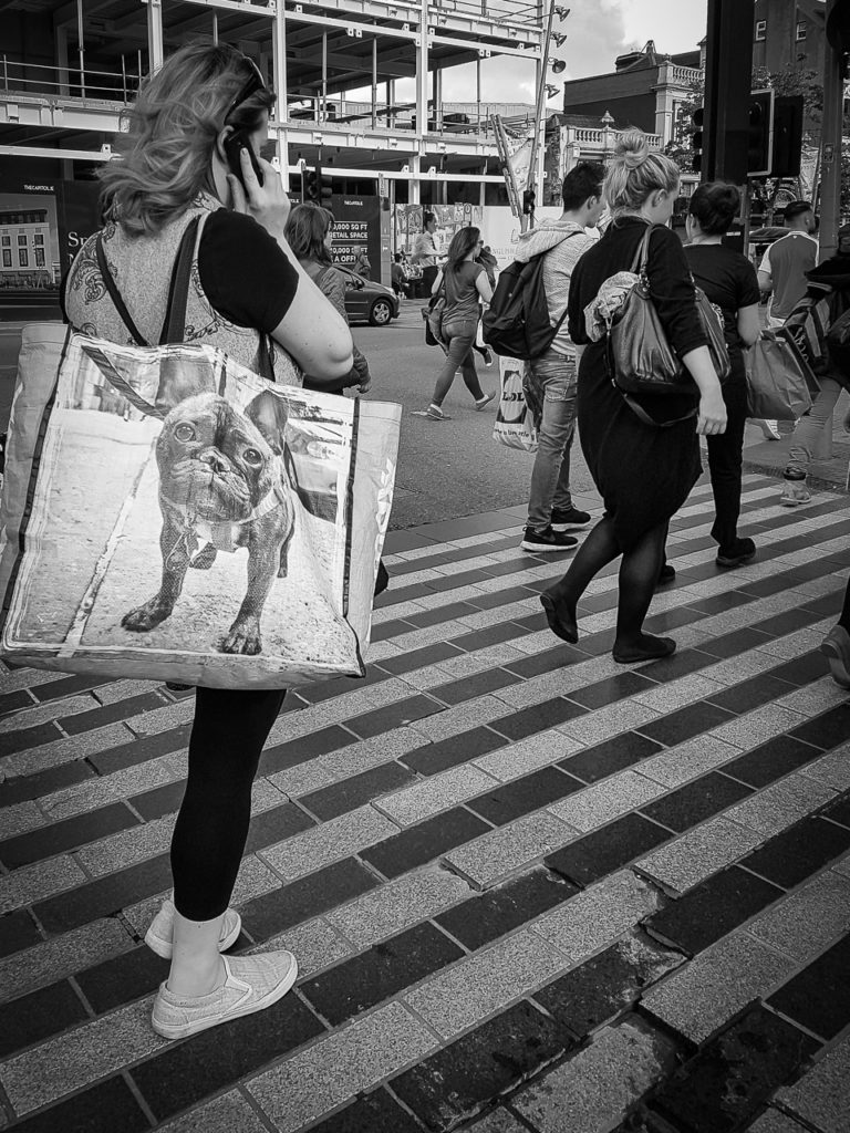 Can I have a doggy bag?