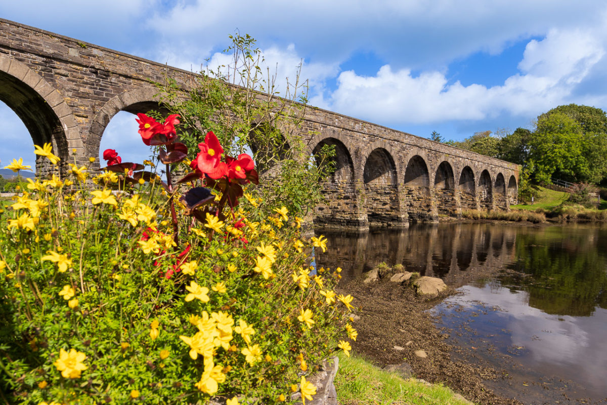 Flowers and Aquaduct in Ballydehob