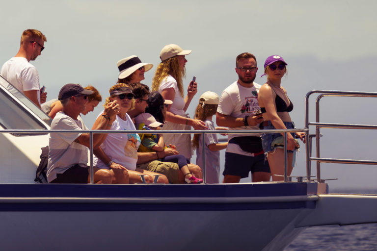 Watching People Whale Watching