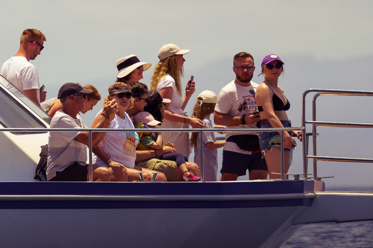 Watching People Whale Watching