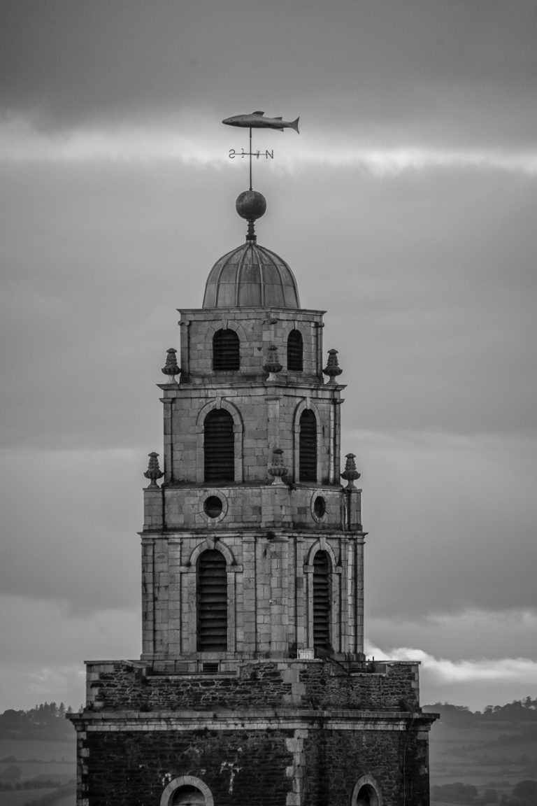 The fish points south