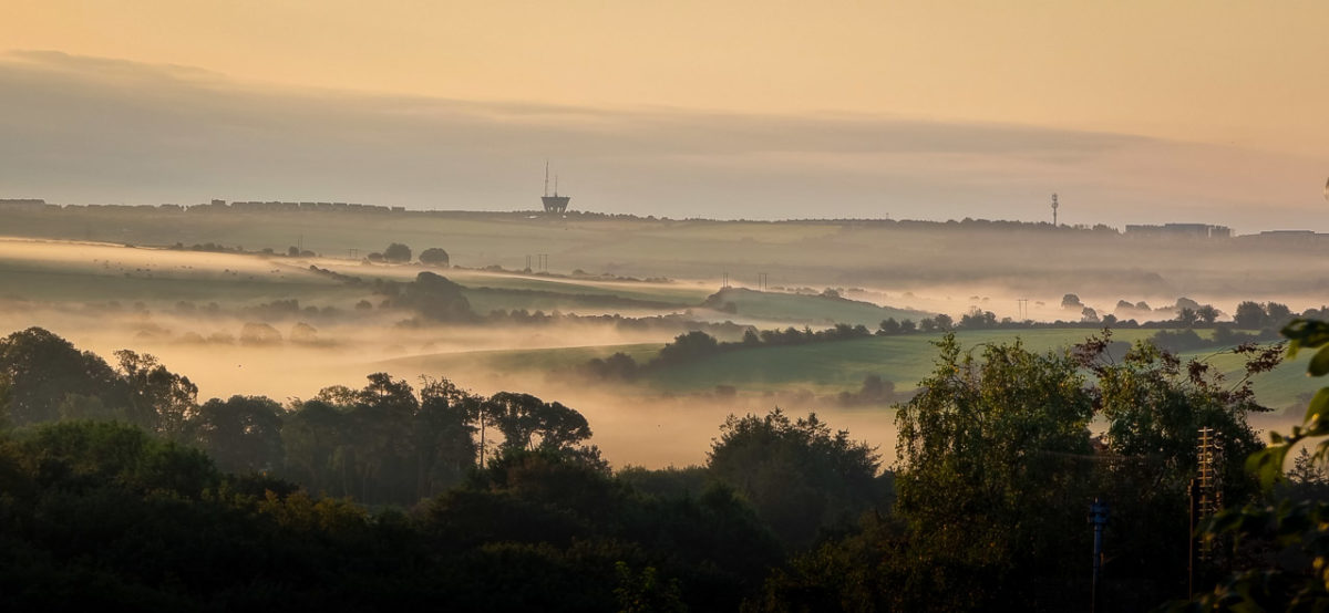 Early Morning Mist