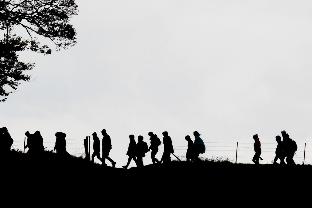 Silhouettes of the Walkers