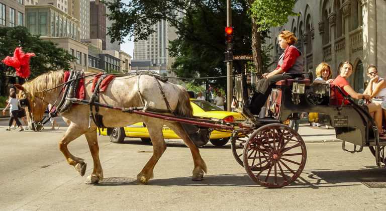 A horse drawn carriage in Chicago.