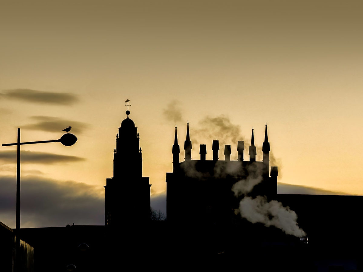 The silhouettes of Shandon Bells, the North Cathedral and a street light with a bird on it. Steam rises from the brewery as the sun sets