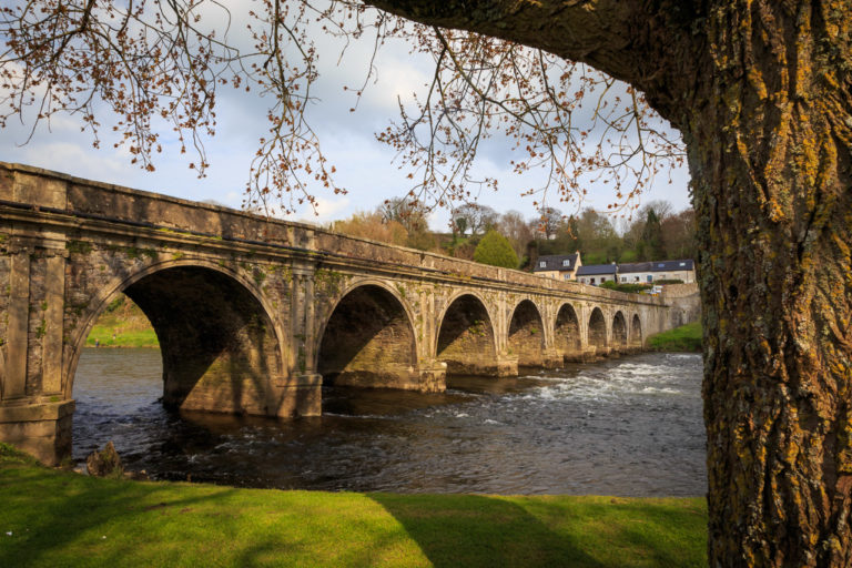 An imposing, ten arch bridge over a river, framed on the right by a tree.