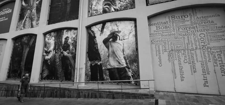 Posters on a building show the work involved in harvesting Cork off trees. A man walks past.