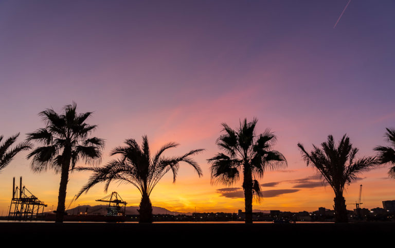 Palm trees silhouetted by a sky coloured by a sun that has already set. Loading cranes and buildings can be seen in the background.