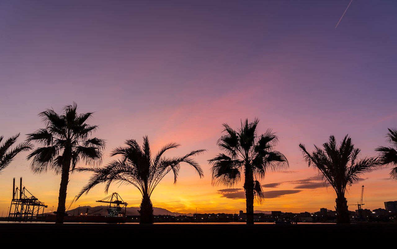 Palm trees silhouetted by a sky coloured by a sun that has already set. Loading cranes and buildings can be seen in the background.