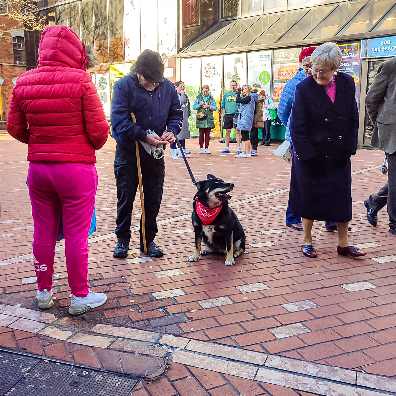 A patient dog waits for his owner to find money for a St. Bridget's Cross while two passing women admire the dog.