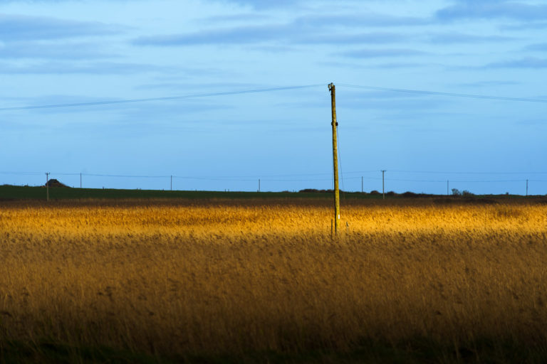 Golden light illuminates a wheat field as the sun sets, casting a warm glow on a solitary pole while surrounding shadows deepen.