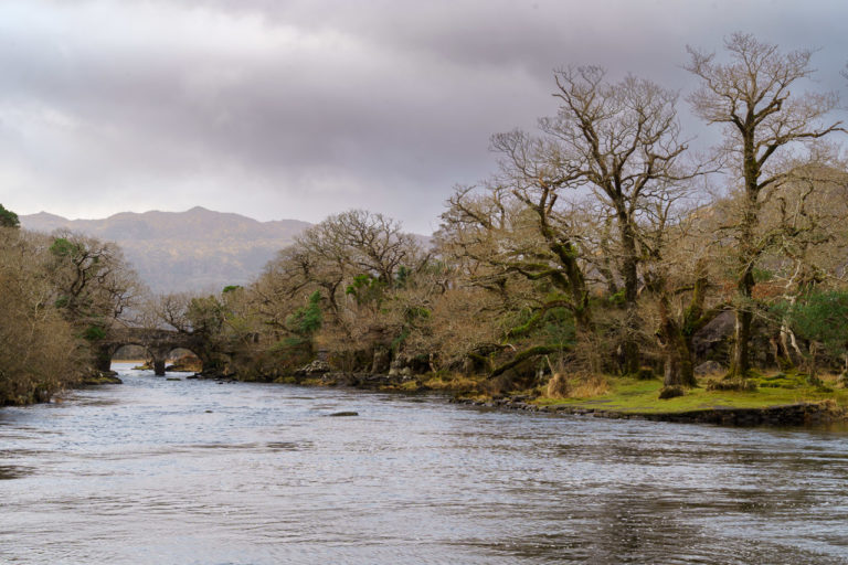 A bridge over a small river next to the Lakes of Killarney. Mostly bare trees to be seen on both sides of the river, and the sky is heavy with clouds.