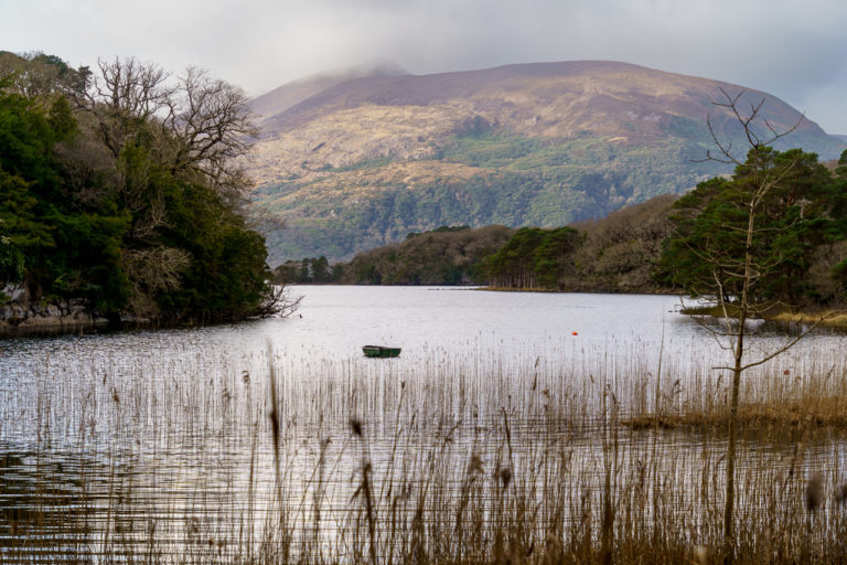 A boat on a lake. Reeds in the foreground and cloud covered hills in the background.