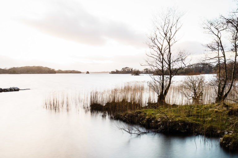 A long exposure photo of a lake. The water is smooth, the reeds obscured by their motion while the trees are bare on this February evening