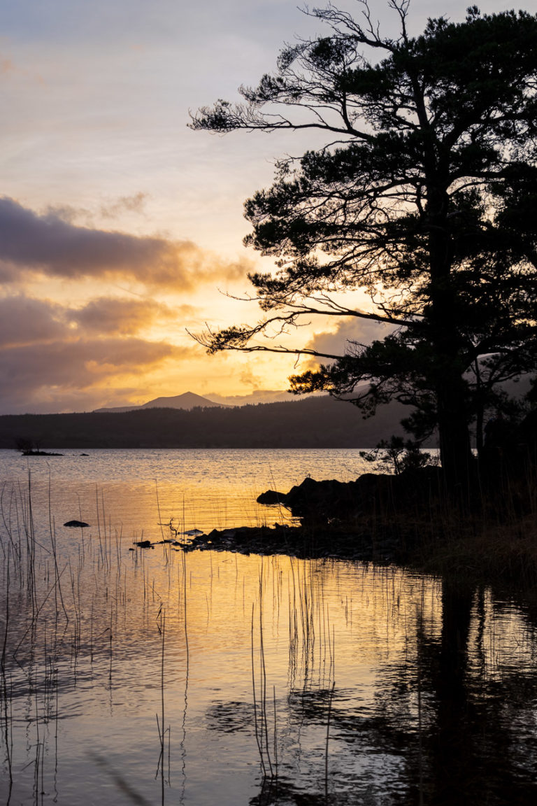 An vibrant yellow sunrise over the calm waters of the Lakes of Killarney, with misty mountains in the distance.