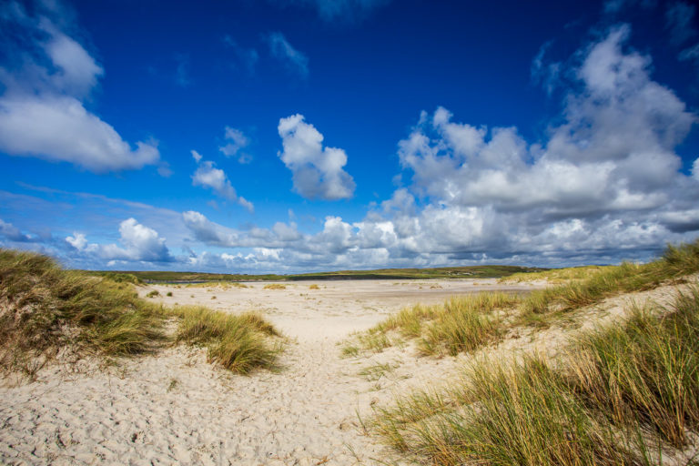 White sand and dunes and blue skies and fluffy clouds